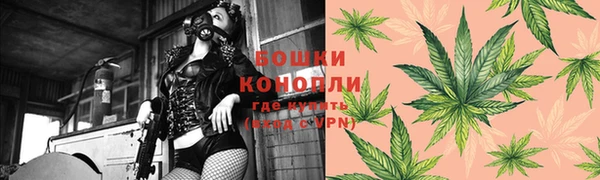 spice Липки