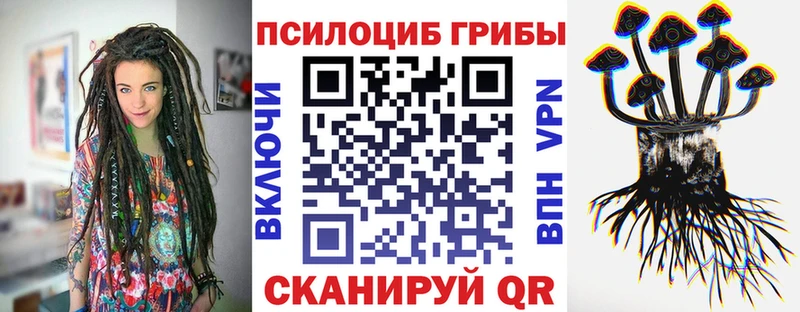 купить наркотики сайты Михайловск Псилоцибиновые грибы мицелий