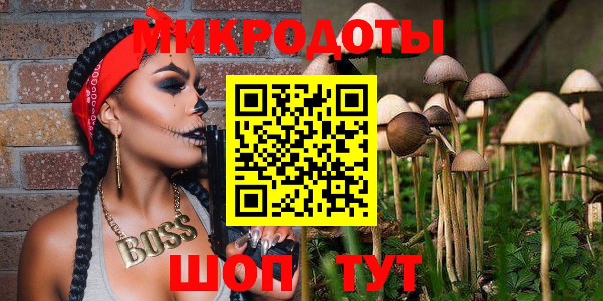 Псилоцибиновые грибы прущие грибы Михайловск