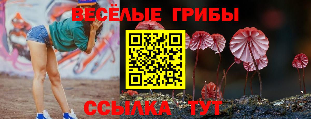 Псилоцибиновые грибы прущие грибы  закладка  Михайловск  Вход с VPN 