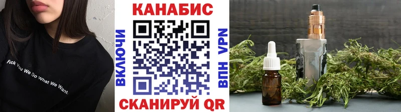 Конопля сатива  Михайловск 